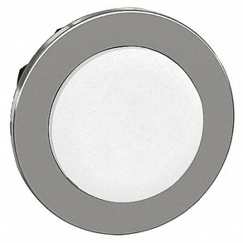SCHNEIDER ELECTRIC Push Button Head Momentary Action 30mm, 55WJ35
