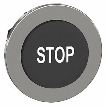 SCHNEIDER ELECTRIC Push Button Head Momentary Action 30mm, 55WJ39