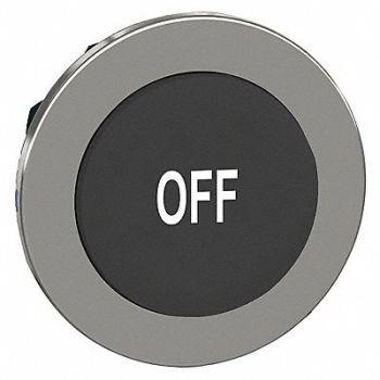 SCHNEIDER ELECTRIC Push Button Head Momentary Action 30mm, 55WJ40