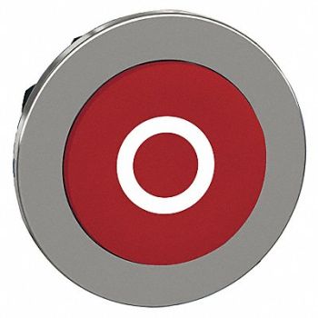 SCHNEIDER ELECTRIC Push Button Head Momentary Action 30mm, 55WJ42
