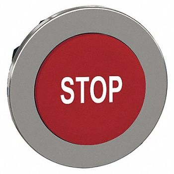 SCHNEIDER ELECTRIC Push Button Head Momentary Action 30mm, 55WJ44