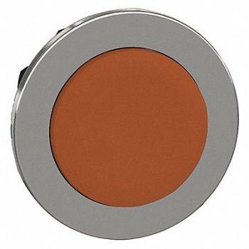 SCHNEIDER ELECTRIC Push Button Head Momentary Action 30mm, 55WJ46