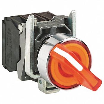 SCHNEIDER ELECTRIC Illuminated Selector Switch 30mm Sz, 55WJ76