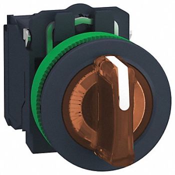 SCHNEIDER ELECTRIC Illuminated Selector Switch 30mm Sz, 55WK26