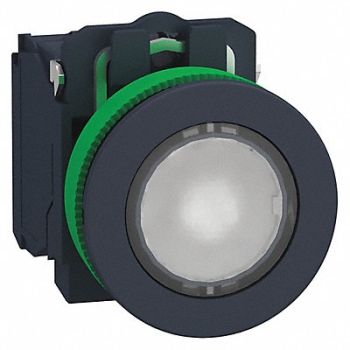 SCHNEIDER ELECTRIC Push Button 30mm Momentary Action, 55WK38
