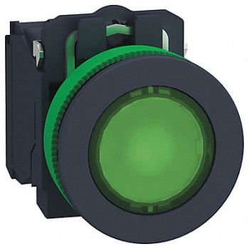 SCHNEIDER ELECTRIC Push Button 30mm Momentary Action, 55WK39
