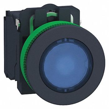 SCHNEIDER ELECTRIC Push Button 30mm Momentary Action, 55WK45