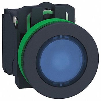 SCHNEIDER ELECTRIC Push Button 30mm Momentary Action, 55WK46
