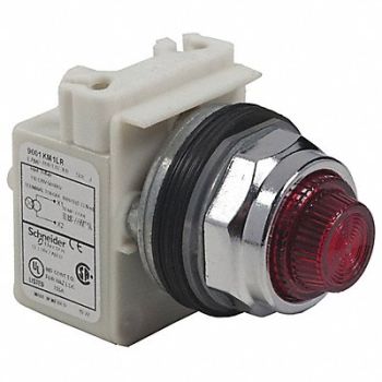 SCHNEIDER ELECTRIC Pilot Light 110 to 120VAC Green LED Lamp, 55WR04