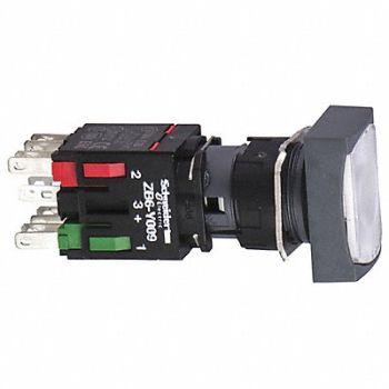 SCHNEIDER ELECTRIC Illuminated Push Button 16mm, 55WU46