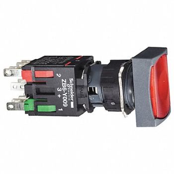 SCHNEIDER ELECTRIC Illuminated Push Button Momentary Action, 55WU50