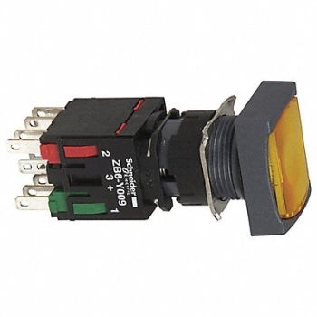 SCHNEIDER ELECTRIC Illuminated Push Button Momentary Action, 55WU69
