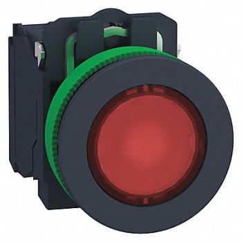 SCHNEIDER ELECTRIC Push Button 30mm Momentary Action, 55XA58