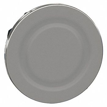 SCHNEIDER ELECTRIC Flush Mounted ing Plug 30mm, 55XA93