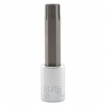 PROTO Socket Bit Steel 3/8 in TpSz 3/8 in, 56JT34