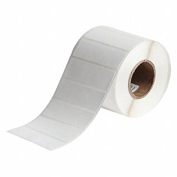 BRADY Laboratory Label Polypropylene 1 H 3 W, 56KH03