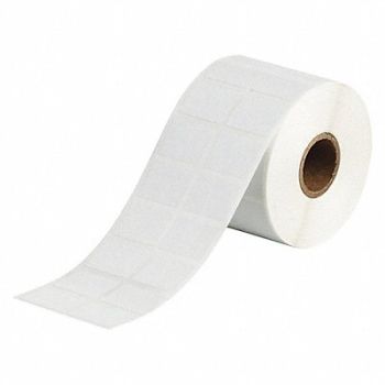 BRADY Laboratory Label Polyester 3/4 H 1 W, 56KF98