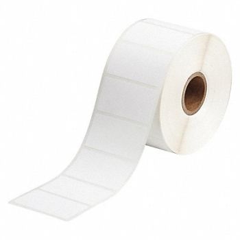 BRADY Laboratory Label Polyester 1 H 1-7/8 W, 56KG16
