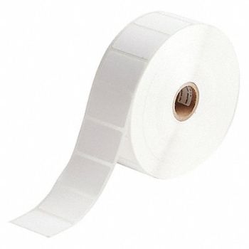 BRADY Autoclave Label Polypropylene 1 H, 56KG60