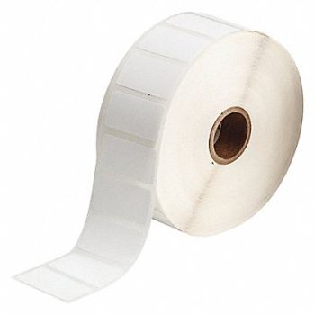 BRADY Autoclave Label Polypropylene 3/4 H, 56KG64