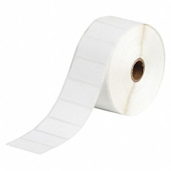 BRADY Autoclave Label Polypropylene 1 H 2 W, 56KG65
