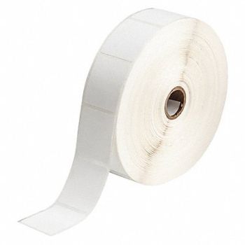 BRADY Autoclave Label Polypropylene 1-1/2 H, 56KG66
