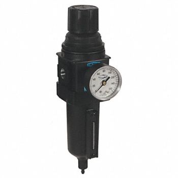 DIXON VALVE COUPLING WilkersonStd FilterReg Manual Metal 1/2, 58CP77