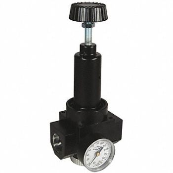 DIXON VALVE COUPLING Wilkerson High Flow Regulator Gauge 1, 58CT46