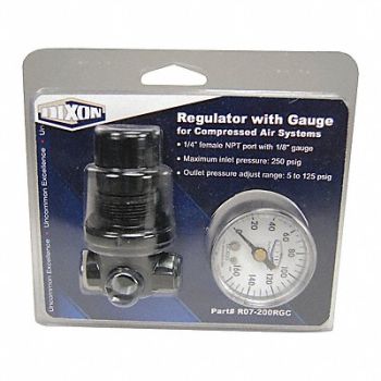 DIXON VALVE COUPLING Series 1-Carded Miniature Regulator 1/4, 58CU60