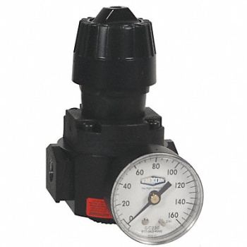DIXON VALVE COUPLING Wilkerson Compact Regulator w/gauge 1/2, 58CU79