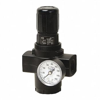 DIXON VALVE COUPLING Series 1-Jumbo Regulator w/Gauge 1, 58DA37