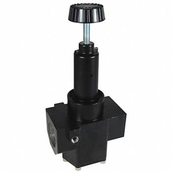 DIXON VALVE COUPLING Wilkerson High Flow Regulator 2, 58DK62