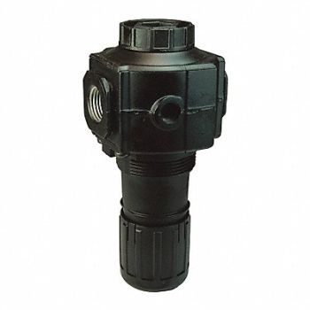 DIXON VALVE COUPLING Series 1-Standard Regulator 3/4, 58DM42