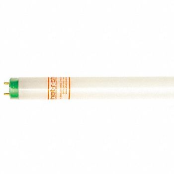 SHAT-R-SHIELD Fluorescent 4 32W T8 3500K Bi Pin PK30, 58YD18