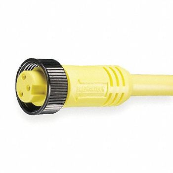 BRAD HARRISON Cordset 3 Pin Receptacle Female, 5AA38