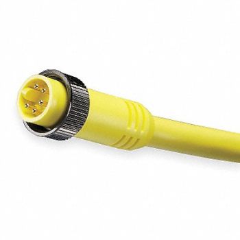 BRAD HARRISON Cordset 5 Pin Plug Male, 5AA54