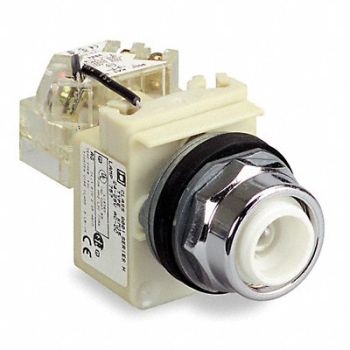SCHNEIDER ELECTRIC H4510 Push to Test Pilot Light Red Incand, 2ER69