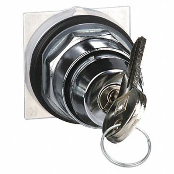 SCHNEIDER ELECTRIC Non-Illum Selector Swtch 30mm 2 Pos Keyd, 5B508