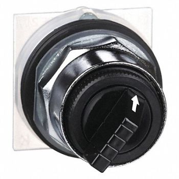 SCHNEIDER ELECTRIC Non-Illum Selector Swtch 30mm 2 Pos Levr, 5B509