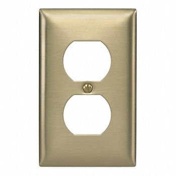 HUBBELL Dup Recept Wll Plt Stnd Brass 1Gng Brsh, 5C227