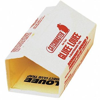 CATCHMASTER Glue Trap 3/16 L x 7-1/2 W x 4 H, 5DKE9
