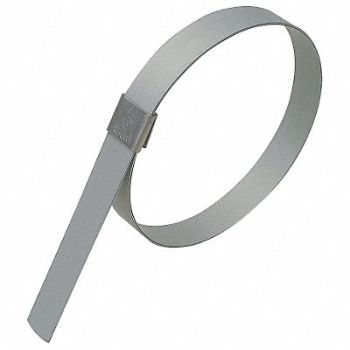 BAND-IT Band Clamp 5/8 W 5 3/4 Max OD PK10, 5DLG4