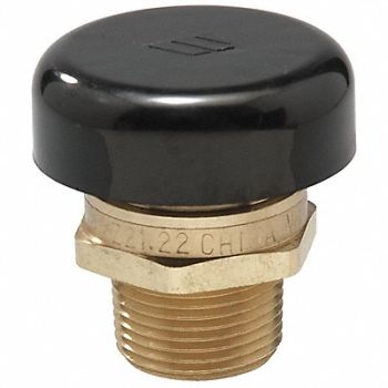 WATTS Vacuum Relief Valve 1/2 In Up to 200 psi, 5DLZ3