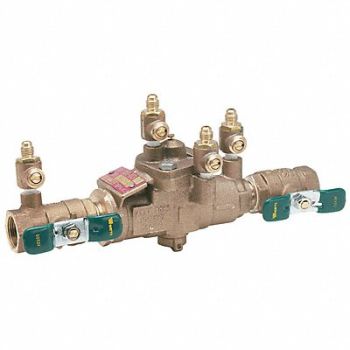 WATTS Reduced Pressure Zone Backflow Preventer, 5DMJ1