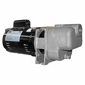 DAYTON Self Priming Pump 1/3 HP 316 SS, 5GUP0