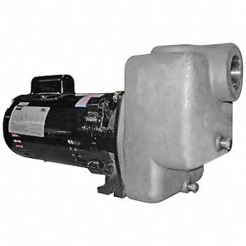 DAYTON Self Priming Pump 1 HP 316 SS, 5GUP2