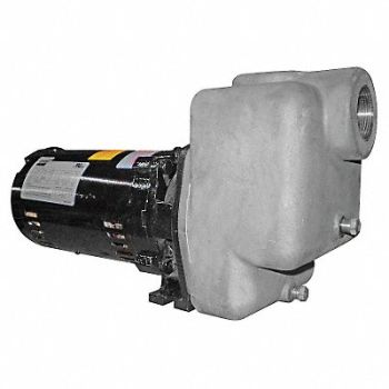DAYTON Self Priming Pump 1 HP 316 SS, 5GUP3