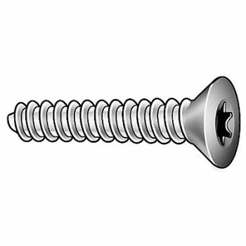TAMPER-PRUF SCREW Scrw Sz #10 T20 Zinc 1.25 L PK50, 5JU43