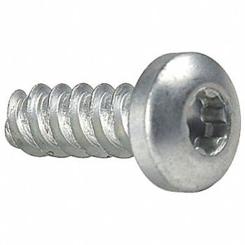 TAMPER-PRUF SCREW Scrw Sz 1/4 T30 Zinc 1.25 L PK50, 5JU25