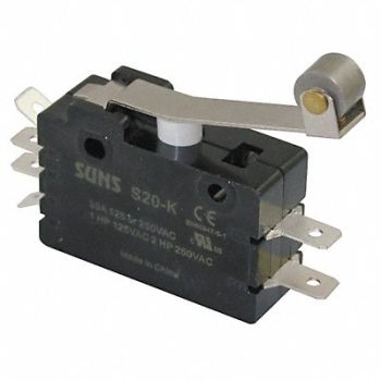 GRAINGER APPROVED Swch 20A 2 NO 2 NC Hinge Roller Lever, 5JEH8